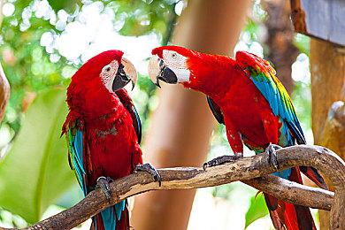 B社《辐射4》销量已超2500万 未来《辐射5》也将如此